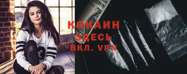 ПСИЛОЦИБИНОВЫЕ ГРИБЫ Карталы