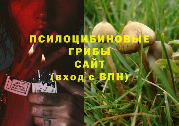 соль ск Киреевск