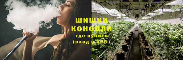 ПСИЛОЦИБИНОВЫЕ ГРИБЫ Карталы