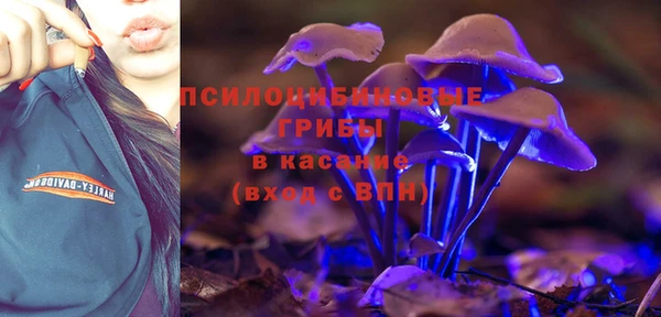 spice Кинешма