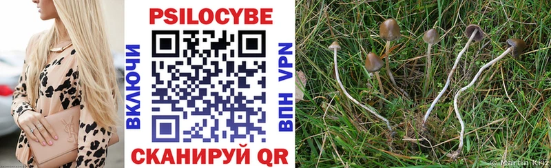 Купить где  Ладушкин  Галлюциногенные грибы GOLDEN TEACHER 